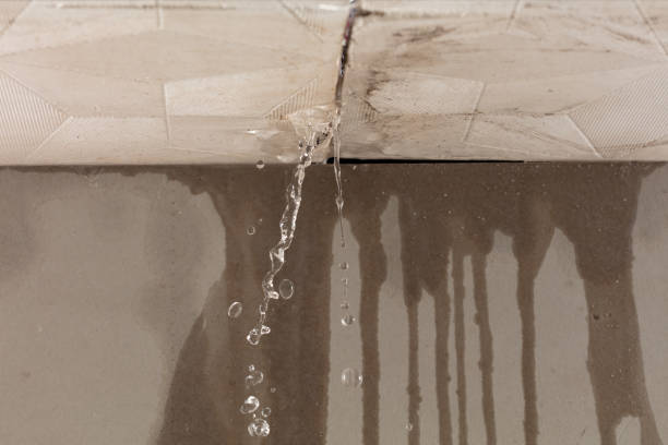 Professional Burst Pipe Cleanup technician working in Cullman, AL